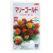 画像1: 花の種　マリーゴールド　ファイヤーボール　　約30粒　（株）サカタのタネ　実咲500　 (1)