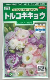 画像: 花の種　トルコギキョウ　ダブルバイカラー ミックス　約45粒　サカタのタネ（株）実咲250