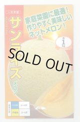 画像: 送料無料　[メロン]　サンライズ　100粒　ナント種苗(株)
