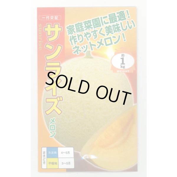 画像1: 送料無料　[メロン]　サンライズ　100粒　ナント種苗(株) (1)