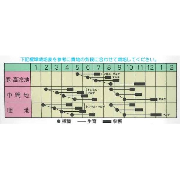 画像2: [大根]　京むらさき　小袋（2ml）およそ130粒　 丸種（株） (2)