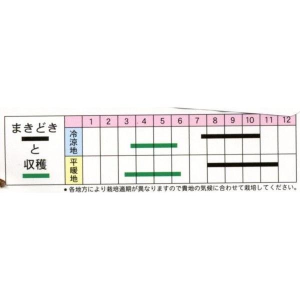 画像3: 送料無料　高菜　三池高菜　10ml　(株)タカヤマシード (3)