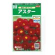 画像1: 花の種　アスター　松本スカーレット　約190粒　（株）サカタのタネ　実咲250 (1)