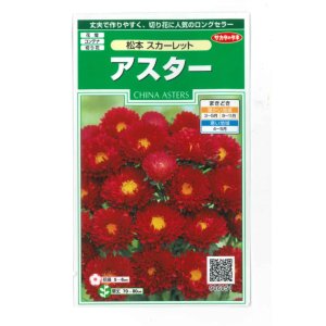 画像: 花の種　アスター　松本スカーレット　約190粒　（株）サカタのタネ　実咲250