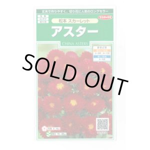 画像: 送料無料　花の種　アスター　松本スカーレット　約190粒　(株)サカタのタネ　実咲250（026205）
