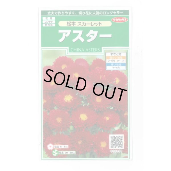 画像1: 送料無料　花の種　アスター　松本スカーレット　約190粒　(株)サカタのタネ　実咲250（026205） (1)