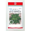 画像1: [葉物]　パセリ　カーリ・パラマウント　20ml　タキイ種苗　 (1)