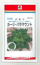 画像: 送料無料　[葉物]　パセリ　カーリ・パラマウント　20ml　タキイ種苗