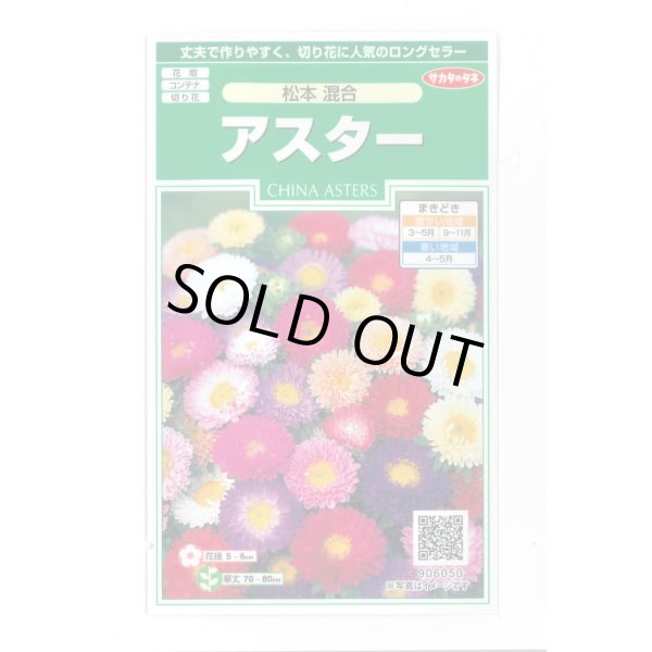 画像1: 送料無料　花の種　アスター　松本混合　約190粒　(株)サカタのタネ　実咲250（026378） (1)