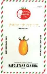 画像: [トマト/マウロの地中海トマト]　ナポリターナカナリア　8粒　　 パイオニアエコサイエンス（株）