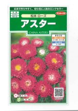 画像: 花の種　アスター　松本ローズ　約190粒　（株）サカタのタネ　実咲250