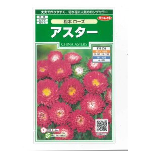 画像: 花の種　アスター　松本ローズ　約190粒　（株）サカタのタネ　実咲250