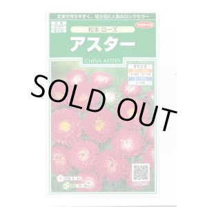 画像: 送料無料　花の種　アスター　松本ローズ　約190粒　(株)サカタのタネ　実咲250（026207）