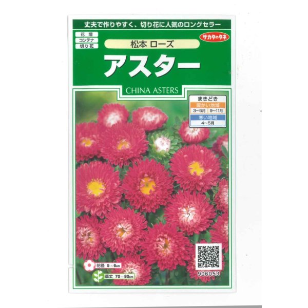 画像1: 花の種　アスター　松本ローズ　約190粒　（株）サカタのタネ　実咲250 (1)