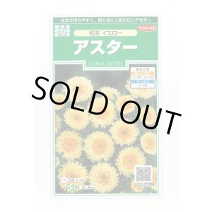 画像: 送料無料　花の種　アスター　松本イエロー　約190粒　(株)サカタのタネ　実咲250（026209）