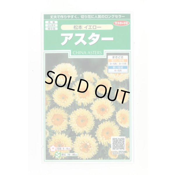 画像1: 送料無料　花の種　アスター　松本イエロー　約190粒　(株)サカタのタネ　実咲250（026209） (1)