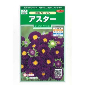 画像: 花の種　アスター　松本パープル　約190粒　（株）サカタのタネ　実咲250