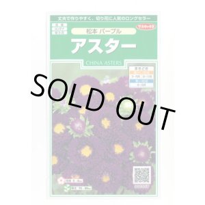 画像: 送料無料　花の種　アスター　松本パープル　約190粒　(株)サカタのタネ　実咲250（026210）