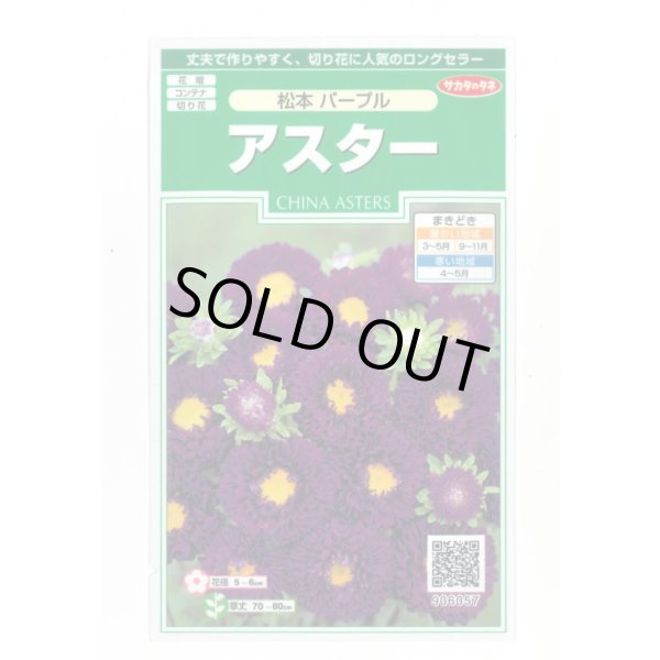 画像1: 送料無料　花の種　アスター　松本パープル　約190粒　(株)サカタのタネ　実咲250（026210） (1)