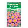 画像1: 花の種　アスター　松本ピンク　約190粒　（株）サカタのタネ　実咲250 (1)