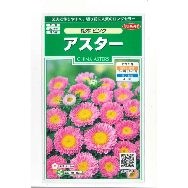 画像1: 花の種　アスター　松本ピンク　約190粒　（株）サカタのタネ　実咲250 (1)
