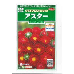 画像: 花の種　アスター　松本クリアスカーレット　約190粒　（株）サカタのタネ　実咲250