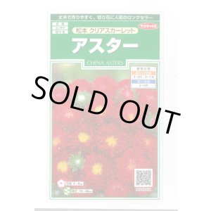 画像: 送料無料　花の種　アスター　松本クリアスカーレット　約190粒　(株)サカタのタネ　実咲250（026206）