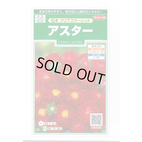 画像1: 送料無料　花の種　アスター　松本クリアスカーレット　約190粒　(株)サカタのタネ　実咲250（026206） (1)
