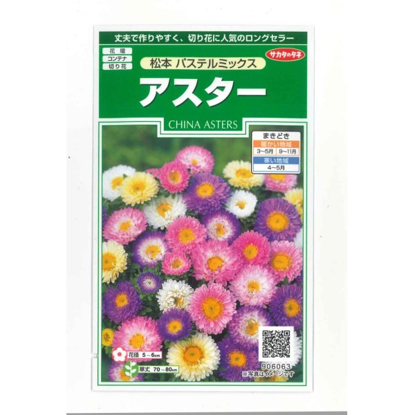 画像1: 花の種　アスター　松本　パステルミックス 　約190粒　（株）サカタのタネ　実咲250 (1)
