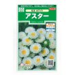 画像1: 花の種　アスター　松本ホワイト　約190粒　（株）サカタのタネ　実咲250 (1)