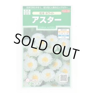 画像: 送料無料　花の種　アスター　松本ホワイト　約190粒　(株)サカタのタネ　実咲250（026211）