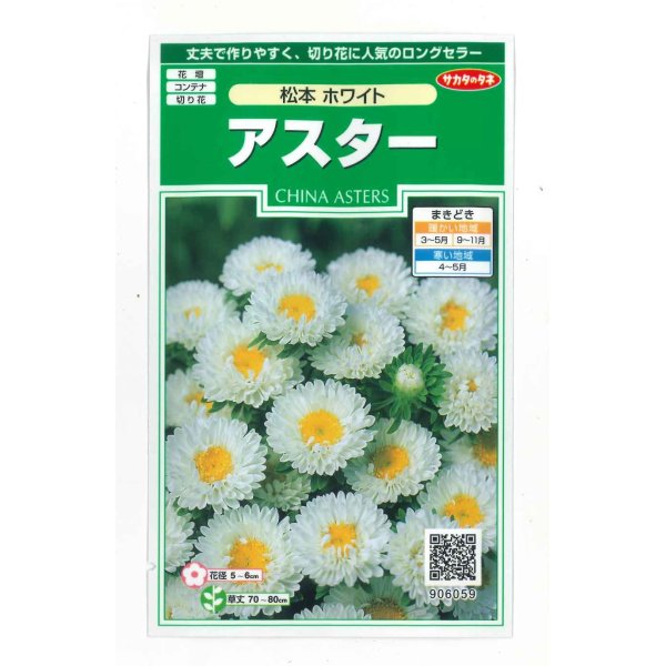 画像1: 花の種　アスター　松本ホワイト　約190粒　（株）サカタのタネ　実咲250 (1)