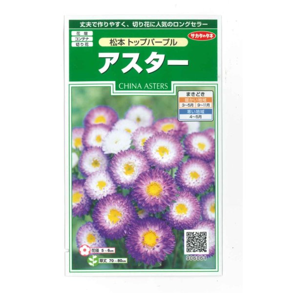 画像1: 花の種　アスター　松本トップパープル　約190粒　（株）サカタのタネ　実咲250 (1)
