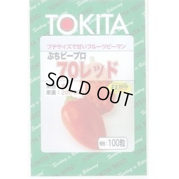 画像1: 送料無料　[ピーマン]　ぷちピープロ　レッド　100粒　トキタ種苗(株) (1)