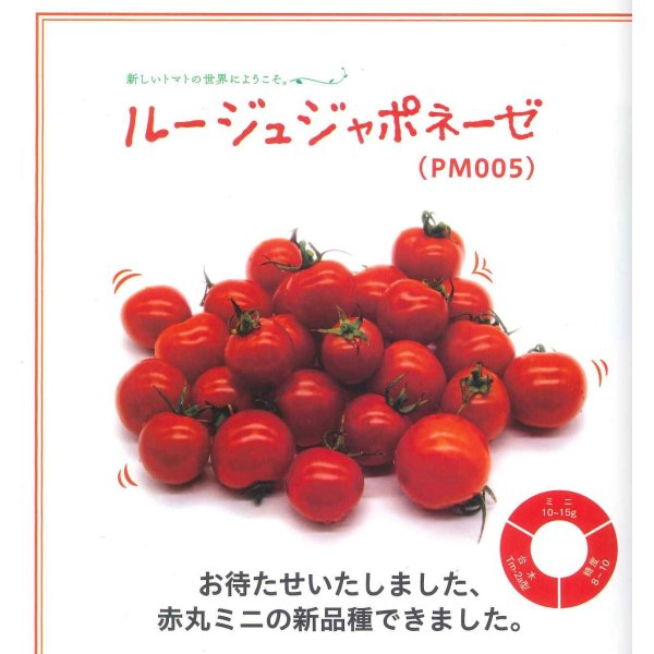 画像2: [トマト/マウロの地中海トマト]　ルージュ　ジャポネーゼ　8粒　　 パイオニアエコサイエンス（株） (2)