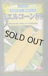 画像: [とうもろこし]　ミエルコーン89　2000粒　雪印種苗（株）