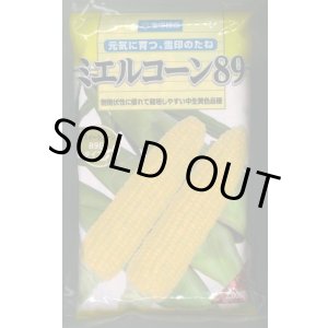 画像: [とうもろこし]　ミエルコーン89　2000粒　雪印種苗（株）