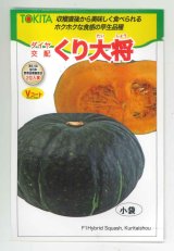 画像: 送料無料　[かぼちゃ]　くり大将　7粒　トキタ種苗(株)