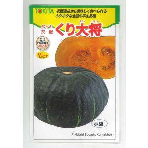 画像: 送料無料　[かぼちゃ]　くり大将　7粒　トキタ種苗(株)