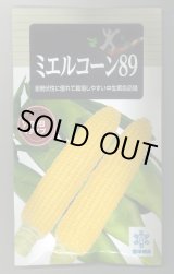 画像: 送料無料　[とうもろこし]　ミエルコーン89　200粒　雪印種苗（株）
