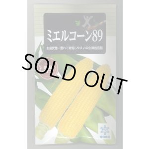 画像: 送料無料　[とうもろこし]　ミエルコーン89　200粒　雪印種苗（株）