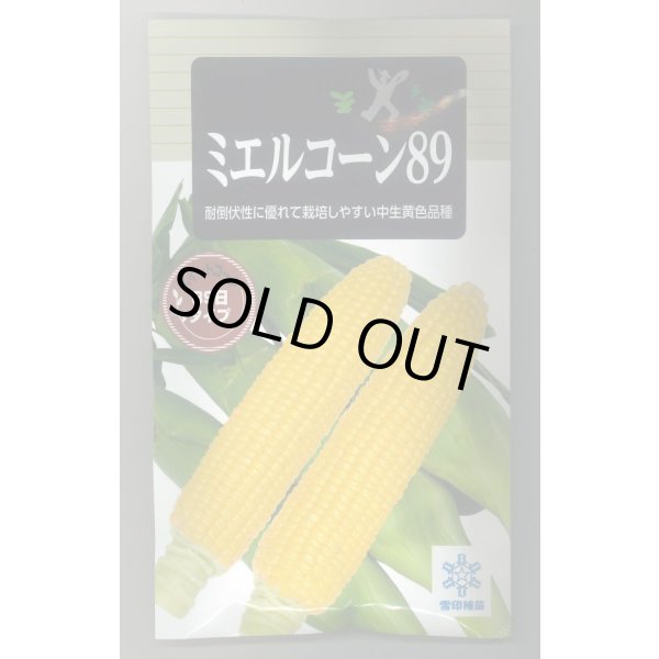 画像1: 送料無料　[とうもろこし]　ミエルコーン89　200粒　雪印種苗（株） (1)