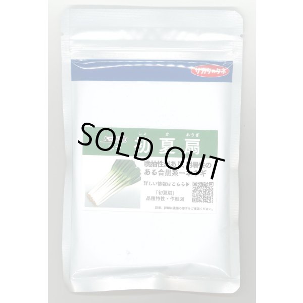 画像1: 送料無料 [ねぎ] 初夏扇 1dl(裸種子) (株)サカタのタネ (1)