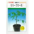 画像1: 送料無料　[台木/トマト用]　リリーフエース　1000粒　カネコ種苗 (1)