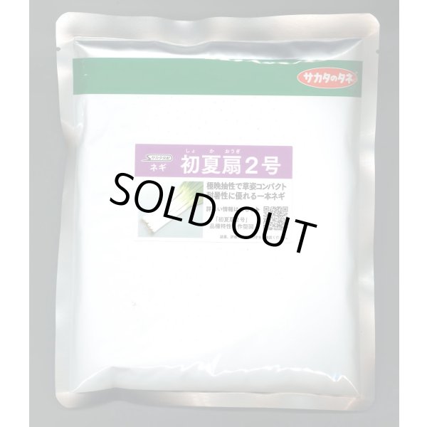 画像1: 送料無料 [ねぎ] 初夏扇2号 ペレット種子 6000粒 (株)サカタのタネ (1)