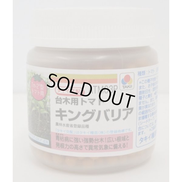 画像1: 送料無料 [台木/トマト用] キングバリア コート 2L 1000粒 タキイ交配 (1)