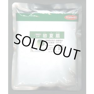 画像: 送料無料　[ねぎ]　初夏扇　ペレット種子　6千粒　(株)サカタのタネ