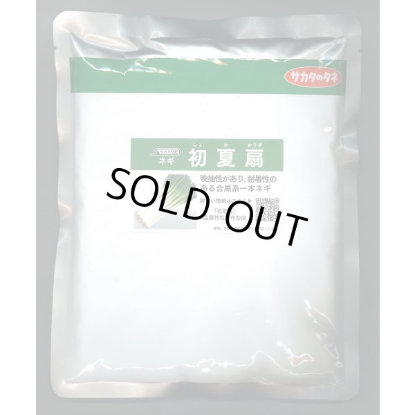画像1: 送料無料 [ねぎ] 初夏扇 ペレット種子 6千粒 (株)サカタのタネ (1)