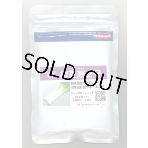 画像: 送料無料 [ねぎ] 初夏扇2号 1dl(裸種子)(株)サカタのタネ