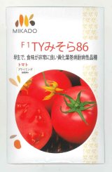 画像: [トマト]　大玉トマト　TYみそら86　100粒　ヴィルモランみかど